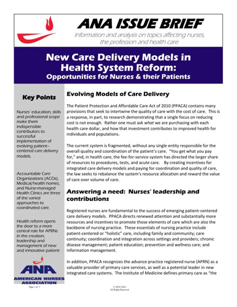 Ana Issue Brief American Nurses Association