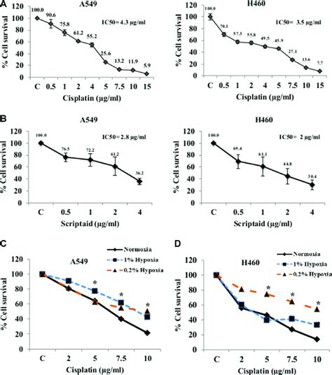 Cytotoxicity Assay For Cisplatin And Scriptaid On Lung Cancer Cells