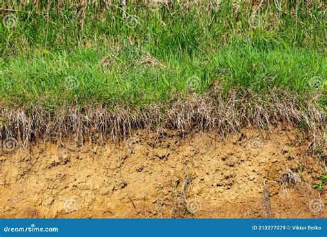 Grass By The Ravine On Clay Ground For Design Stock Image Image Of