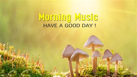 Good Morning Music Strong Positive Energy Wake Up Renewed Happy