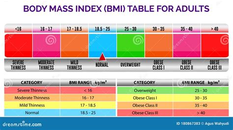 Bmi Index Scale Classification Or Body Mass Index Chart Information Concept Eps 10 Vector Stock