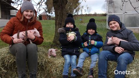 Glücksschweinchen Hufeisen und vierblättrige Kleeblätter für das neue