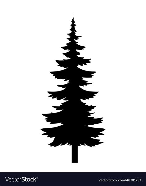 Pine tree silhouette concept Royalty Free Vector Image