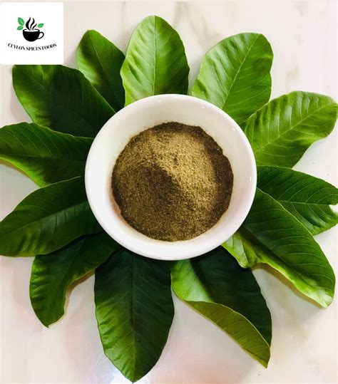 Guava Leaves Powder Guava Leaves Powder For Tea Natural Psidium