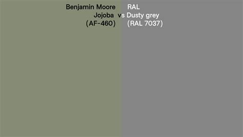 Benjamin Moore Jojoba Af Vs Ral Dusty Grey Ral Side By