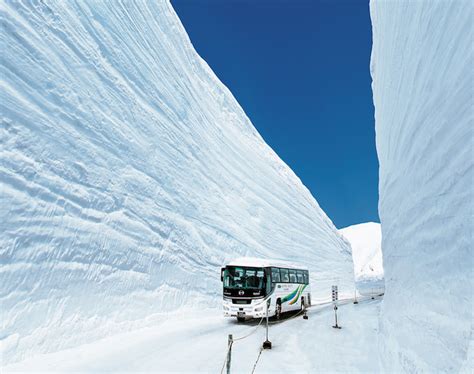 富山「雪の大谷フェスティバル」立山黒部アルペンルートにそびえ立つ雪の壁は最大20m！世界的にも珍しい絶景 415〜625｜ニフティニュース