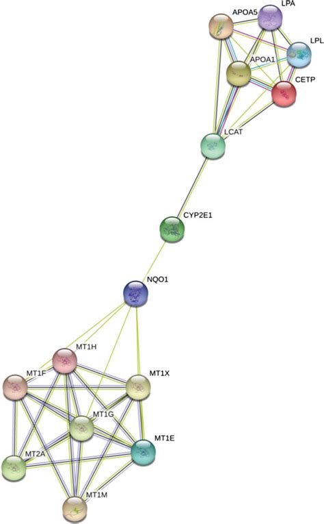 Top 3 Modules From The Protein Protein Interaction Network A Module