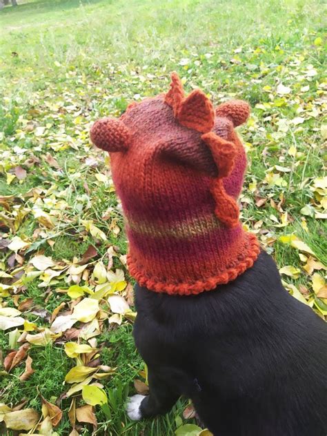 Dog Hatsknitted Hatoriginal Hat To Orderhat Dinohat Etsy