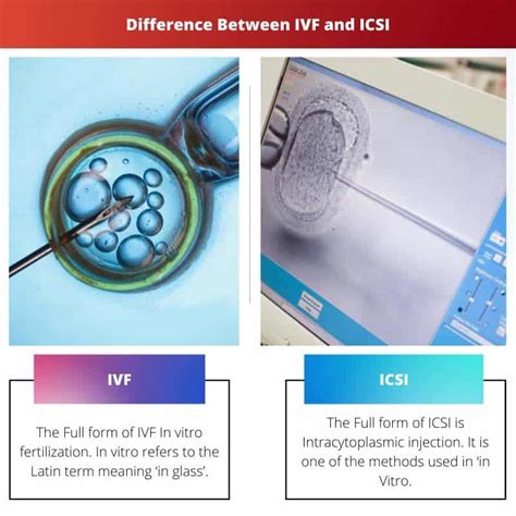 Ivf Vs Icsi Difference And Comparison