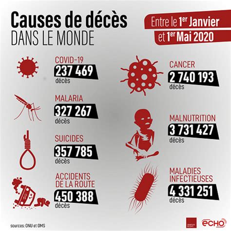 En 2020 Les Causes De Décès Dans Le Monde Logik Memorial