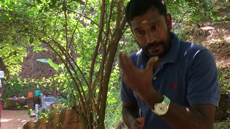 Spice Garden Demo Part 1 Munnar Kerala Youtube