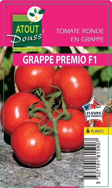 Tomate Grappe Premio Barquette Plants Bricomarch