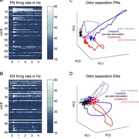 Extracellular Recording At Two Neural Tracts And Single Unit Extraction Download Scientific