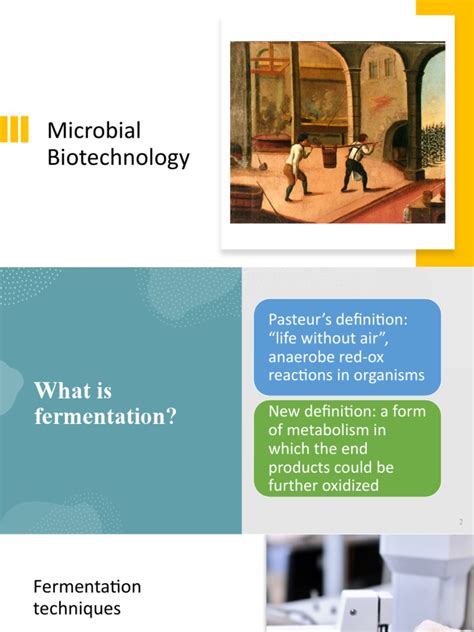 Biotechnology | PDF | Growth Medium | Fermentation