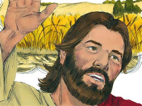 Free Bible Illustrations At Free Bible Images Of The Parable Of The