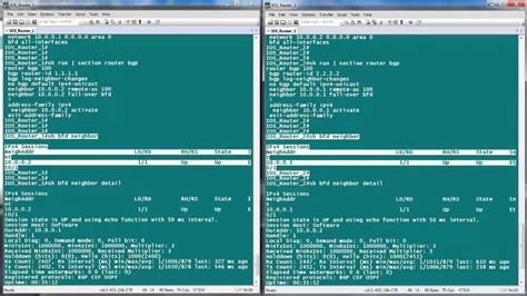 Bfd Configuration And Troubleshooting On Cisco Ios And Xr Routers Youtube