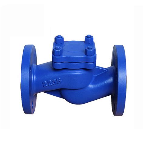 Piston Type Lift Check Valve Laminar Pte Ltd