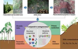 Applied Soil Ecology X Mol