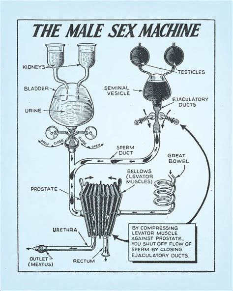 Male Sex Machine Print 8x10 Wall Art High Quality Giclée Etsy Canada