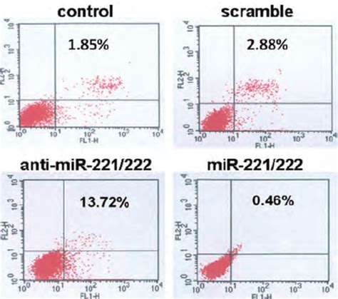 Co Suppression Of Mir Expression By As Mir Induce G