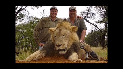 Dentist Kills Cecil The Lion Because Of Poor Guide Youtube