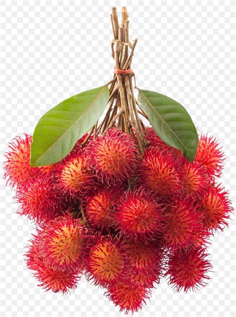 Clipart Rambutan