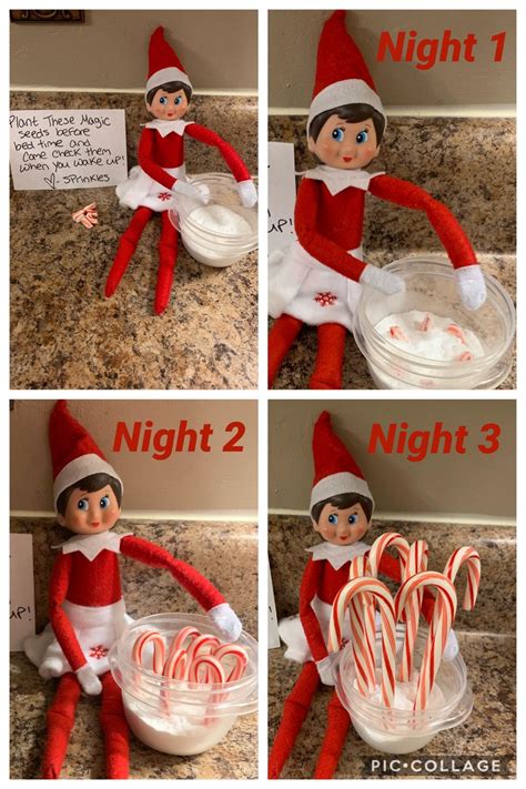 Elf Growing Candy Canes Elf Ideas Easy Elf On The Shelf Christmas Elf