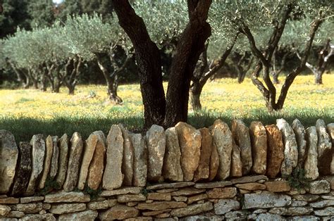 Les paysages de garrigue autour du Pont du Gard Détours en France