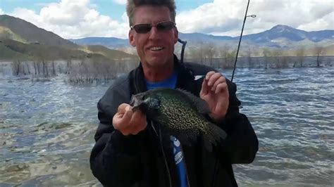 Fishing Report For Kern River And Lake Isabella April 2019 Youtube