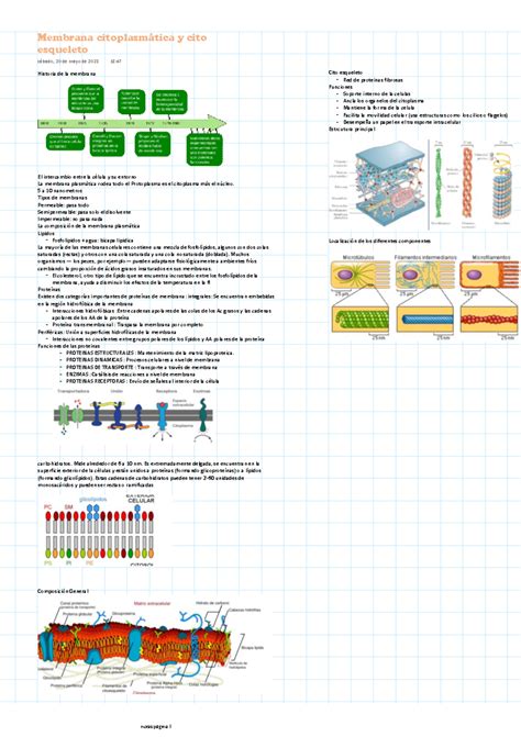 Membrana citoplasmática y cito esqueleto Historia de la membrana El