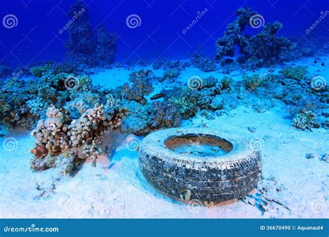 Marine Pollution Stock Photo - Image: 36670490