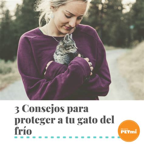 Consejos Para Proteger A Tu Gato Del Fr O Revista Petmi Para