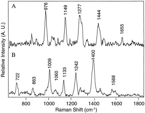 Surface Enhanced Raman Spectroscopic Monitor Of P Acnes Lipid