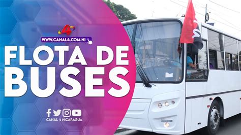 Flota De Buses Rusos Ha Contribuido A Mejorar El Traslado De Las