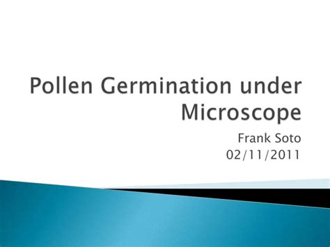 Pollen germination under microscope | PPT