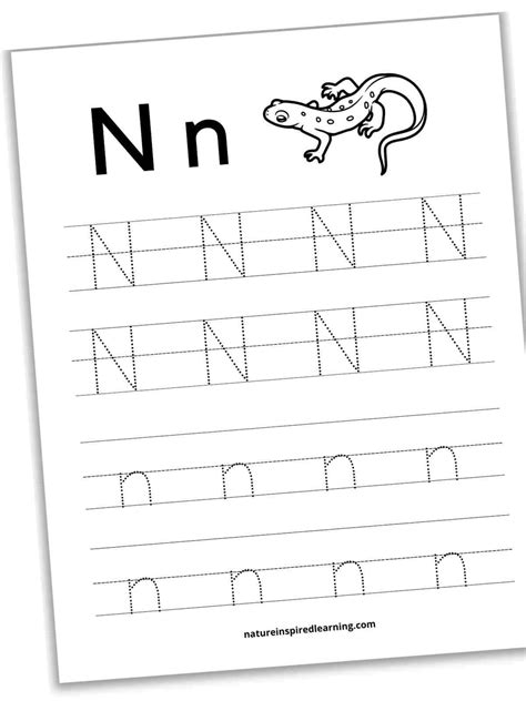 Trace The Letter N Worksheets - Infoupdate.org