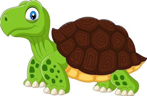 Tortoise Cartoon Vector Art, Icons, and Graphics for Free Download