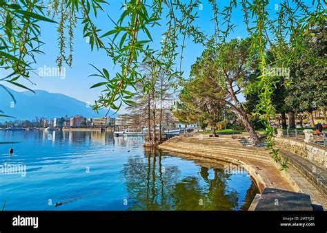 Walk Down The Scenic Green Park On The Bank Of Lake Maggiore Muralto