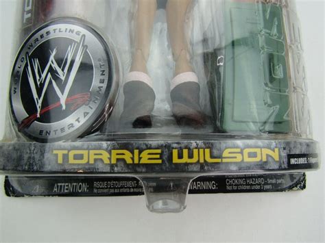 Torrie Wilson Wrestling Action Figure Wwe Wwf Ruthless Aggression