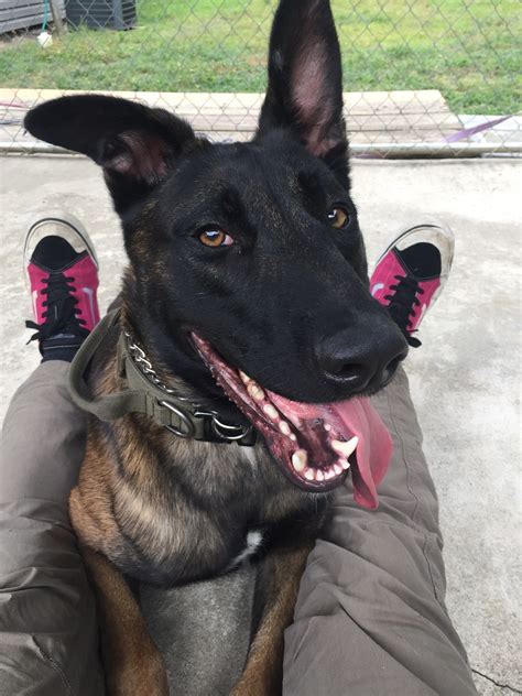 New patrol vehicles are coming for cabarrus county sheriff nc 39