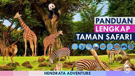 Taman Safari Bogor Ulasan Lengkap Taman Safari Indonesia Dan Review