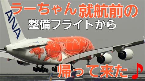 Rjaa All Nippon Airways Airbus A