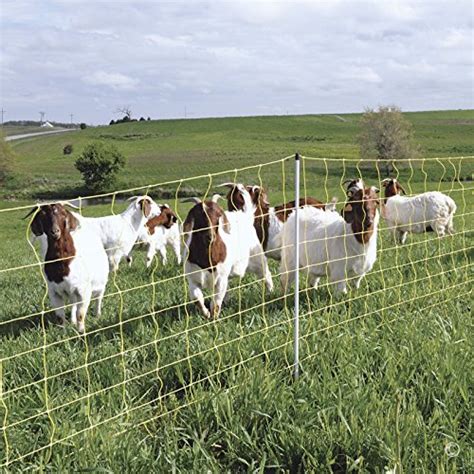 Premier 42 Electric Goat Net Fence 9 42 6 Yellow 164 Roll Pricepulse