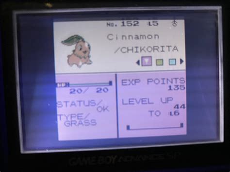 Pokémon Silver Nuzlocke Beginning Set Mode r nuzlocke