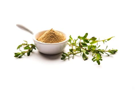 Bacopa Monnieri Benefits - Bacopa Monnieri