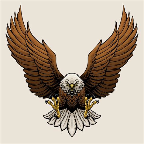 Angry Bald Eagle Hand Draw Style Illustration 25678751 Vector Art at ...