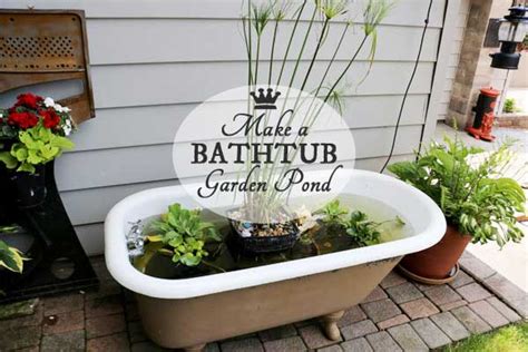 DIY Bathtub Garden Pond Empress Of Dirt