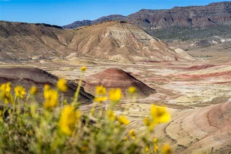 Painted Hills of Oregon: Everything You Need to Know - Uprooted Traveler