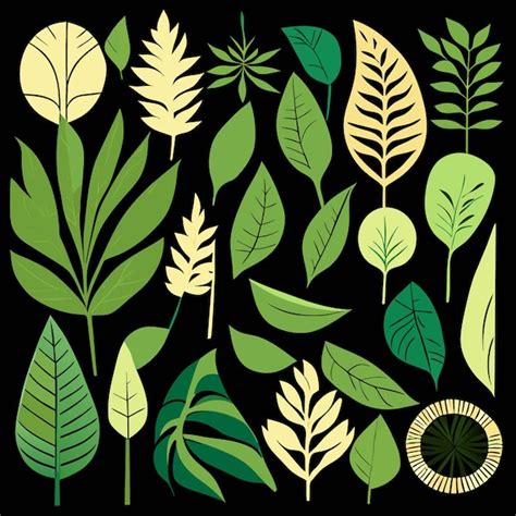 Premium Vector Rainforest Leaf Icon Set Handdrawn Vector Elements