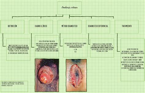 Mapa cinceptual de Amebiasis cutanea dermatologia Definición